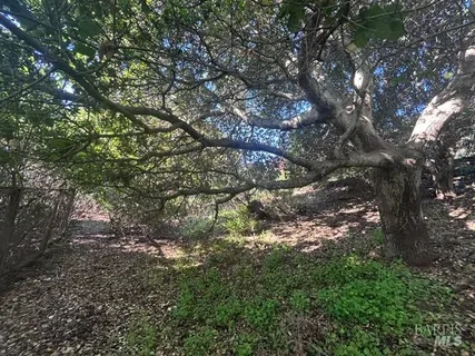 $2,675,000 | 145 Antonette Drive, Tiburon, CA 94920