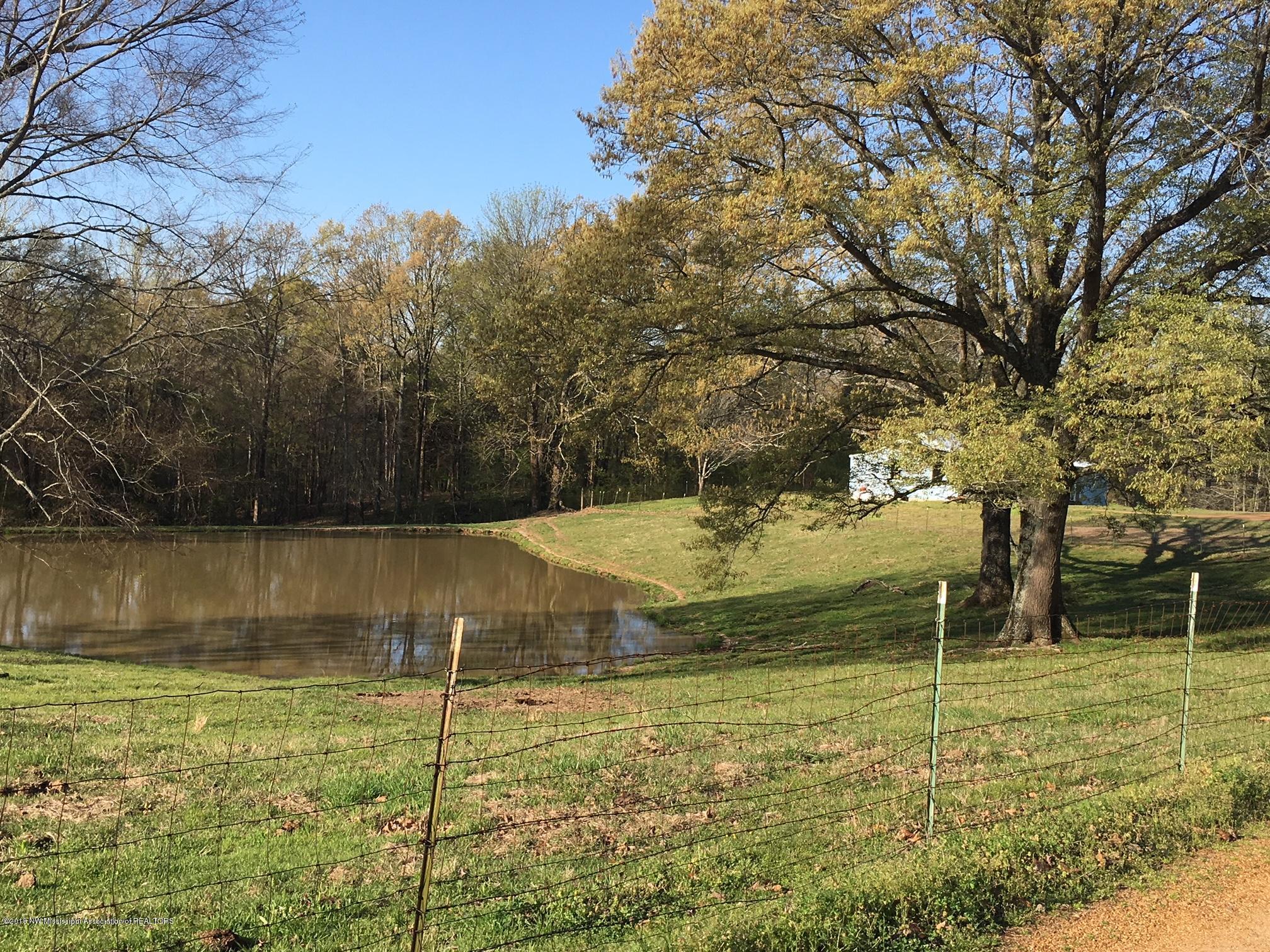 1879 Bluegoose Road Sarah, MS 38665 - Photo 3 of 3 pond bluegoose