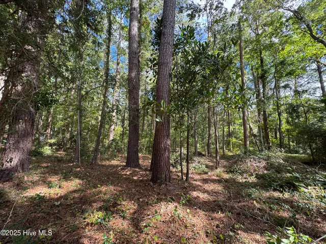 $39,000 | 257 Clark Road, Bath, NC 27808