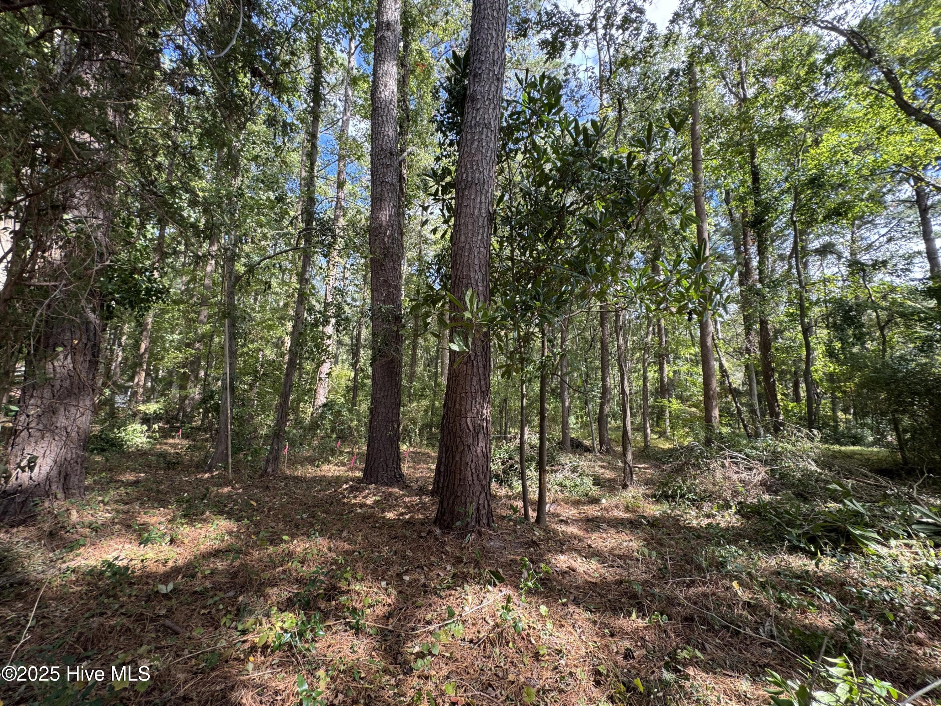 257 Clark Road Bath, NC 27808 - Photo 2 of 4 2