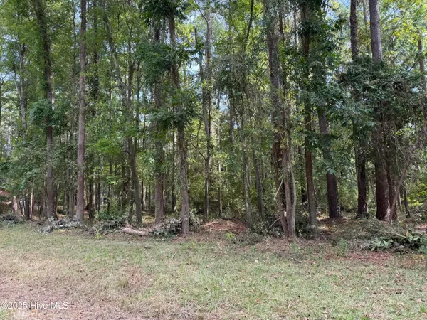 $39,000 | 257 Clark Road, Bath, NC 27808