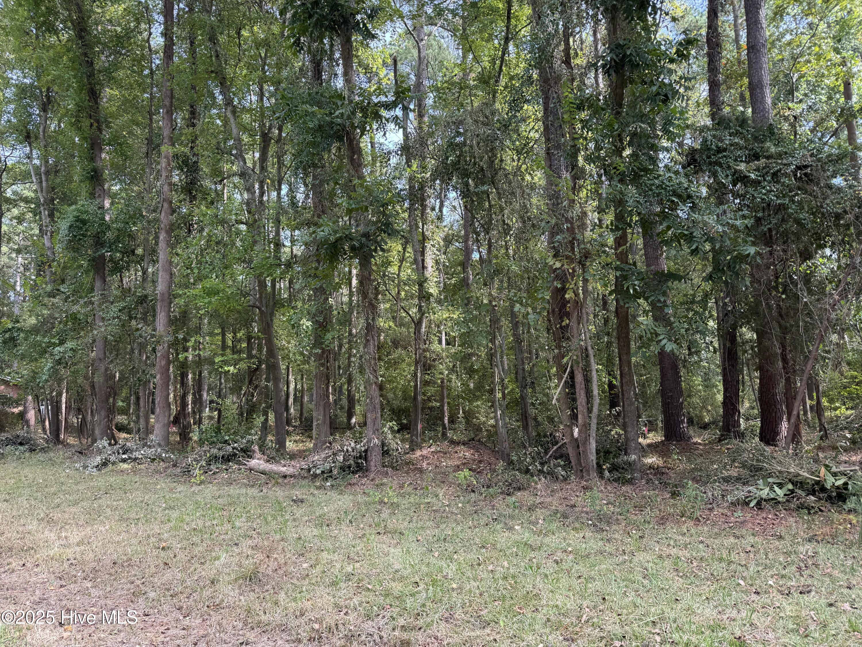 257 Clark Road Bath, NC 27808 - Photo 3 of 4 3