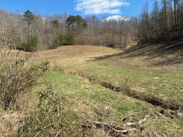1 Mayers Road Booneville, KY 41314 - Photo 2 of 13 Acreage