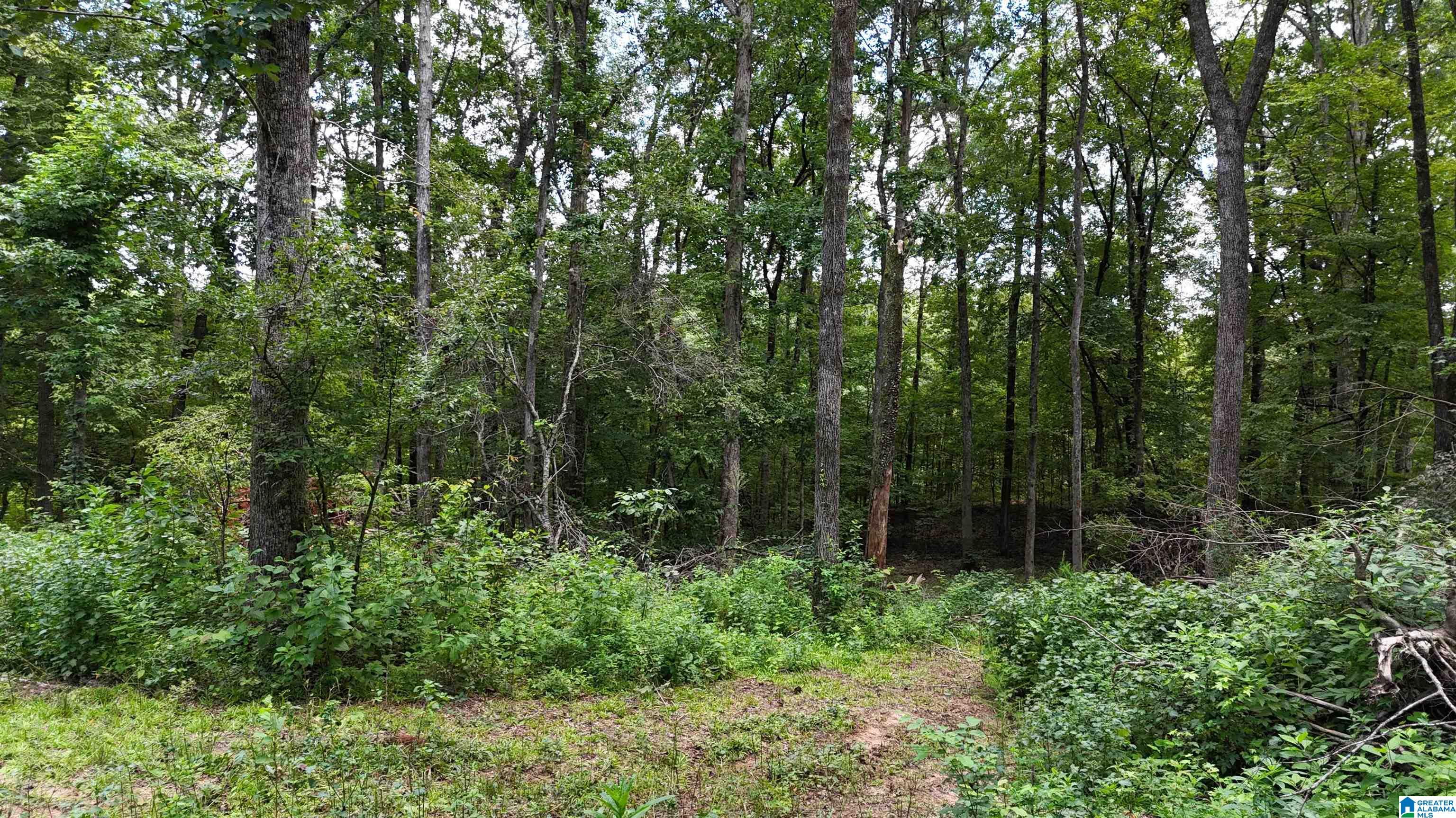 2170 Birmingham Road Centreville, AL 35042 - Photo 19 of 32