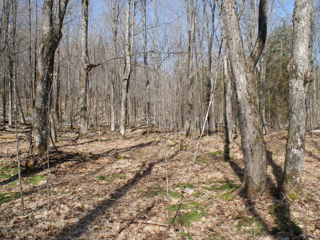 7662 Frontier Road Presque Isle, WI 54557 - Photo 12 of 13 Gallery Image 12