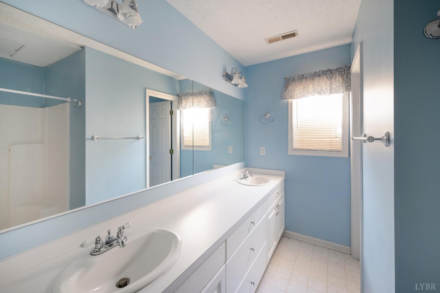 29 Dunivan Drive Rustburg, VA 24588 - Photo 43 of 61 a bathroom with a sink and a mirror