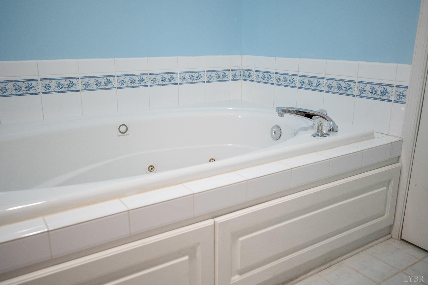 29 Dunivan Drive Rustburg, VA 24588 - Photo 45 of 61 a close view of a bathtub in a bathroom