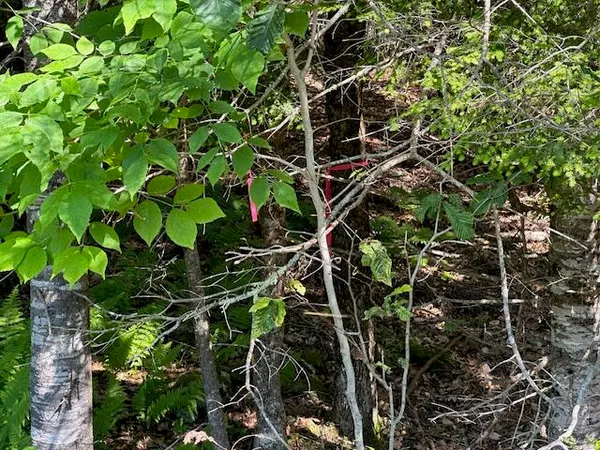 $72,500 | Lot #3 Bonnie Way, Winterport, ME 04496