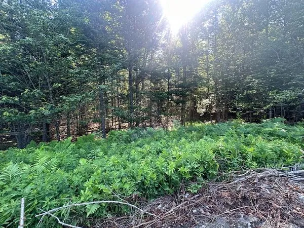 $72,500 | Lot #3 Bonnie Way, Winterport, ME 04496