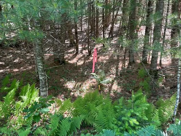 $72,500 | Lot #3 Bonnie Way, Winterport, ME 04496