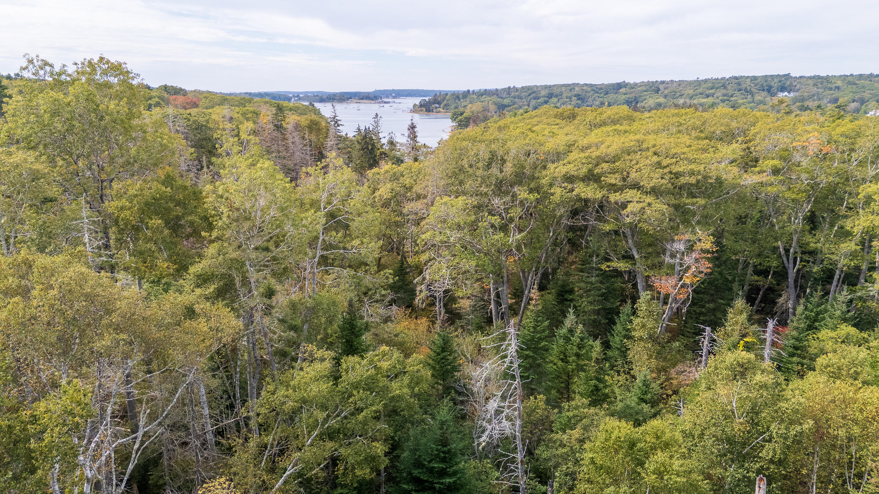 Lot 149 Bristol Road Damariscotta, ME 04543 - Photo 9 of 14