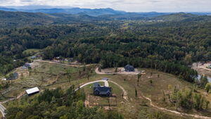 521 Horns Creek Road Old Fort, TN 37362 - Photo 35 of 52 IMG_0383