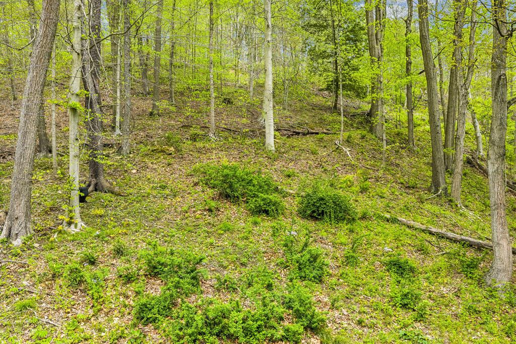2955 Pine Grove Road Industry, PA 15052 - Photo 31 of 34