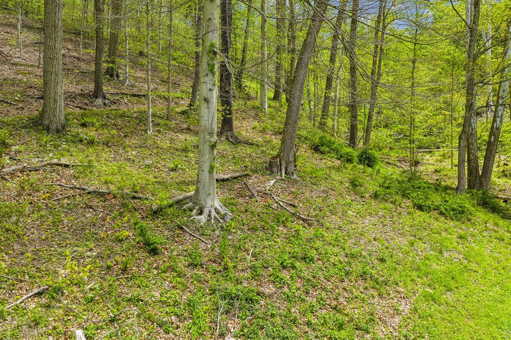 2955 Pine Grove Road Industry, PA 15052 - Photo 32 of 34
