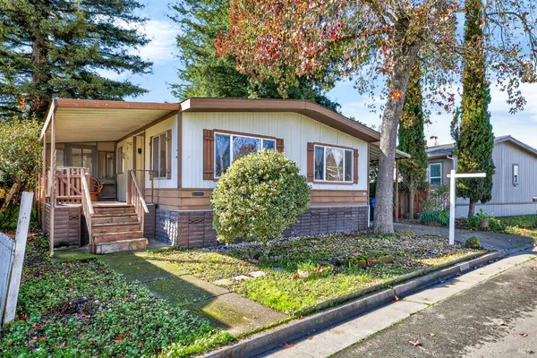a view of a house with a small yard plants and a large tree