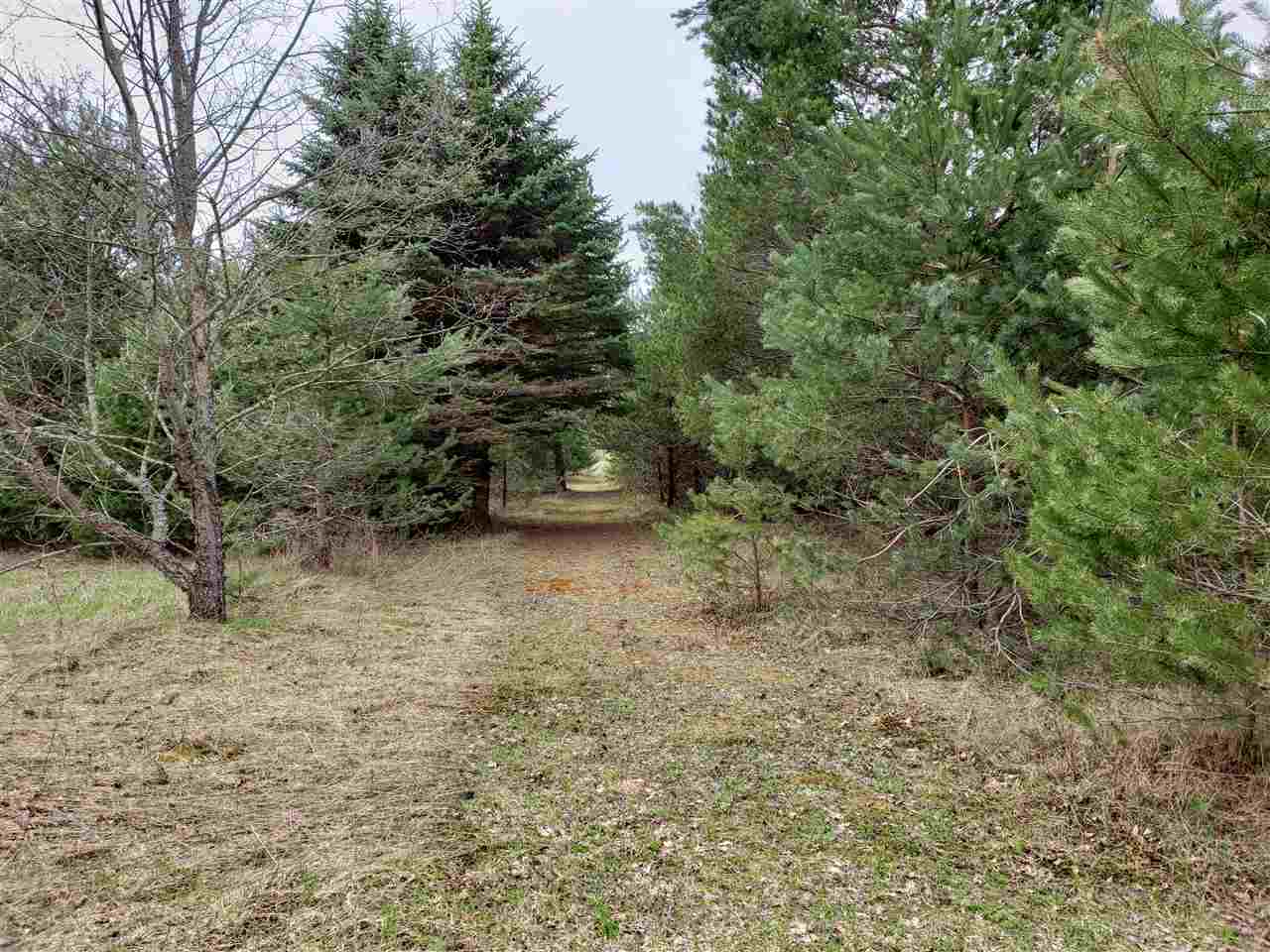 9318 West Walker Road Manton, MI 49663 - Photo 32 of 33 1860308-31.JPG