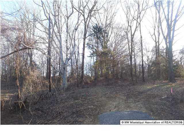 2 Horn Lake Road Nesbit, MS 38651 - Photo 1 of 5 Primary Photo