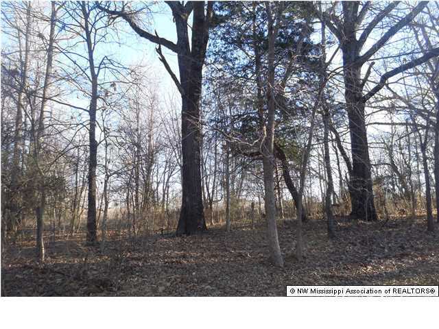 2 Horn Lake Road Nesbit, MS 38651 - Photo 2 of 5 Additional Photo
