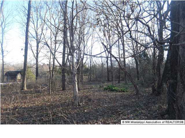 2 Horn Lake Road Nesbit, MS 38651 - Photo 3 of 5 Additional Photo