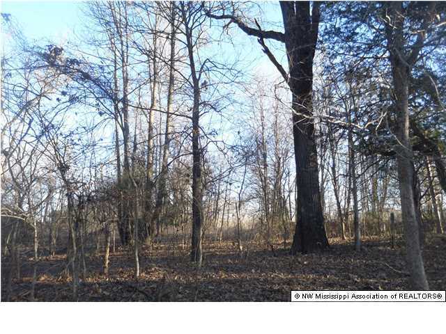 2 Horn Lake Road Nesbit, MS 38651 - Photo 4 of 5 Additional Photo