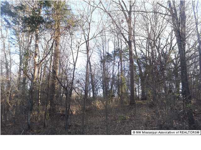 2 Horn Lake Road Nesbit, MS 38651 - Photo 5 of 5 Additional Photo
