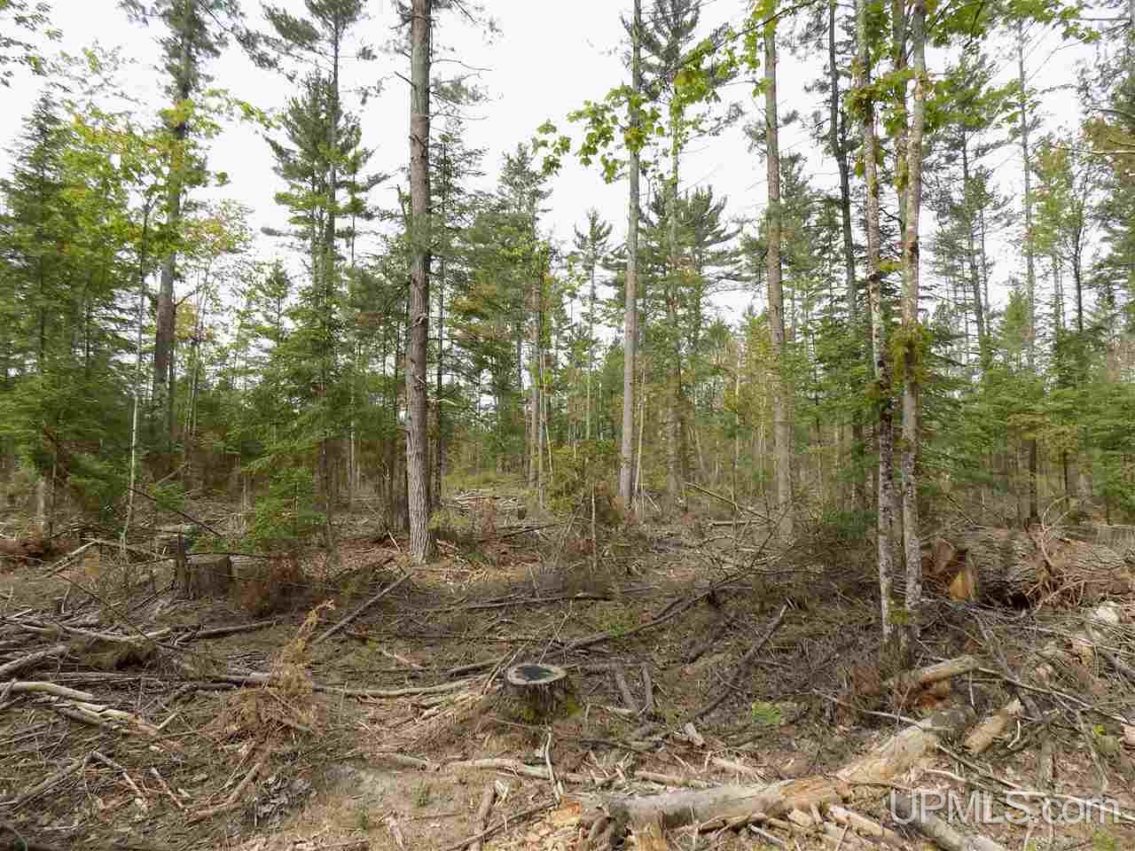 Tbd Slim's Road, Unit PARCEL B Manistique, MI 49854 - Photo 6 of 21