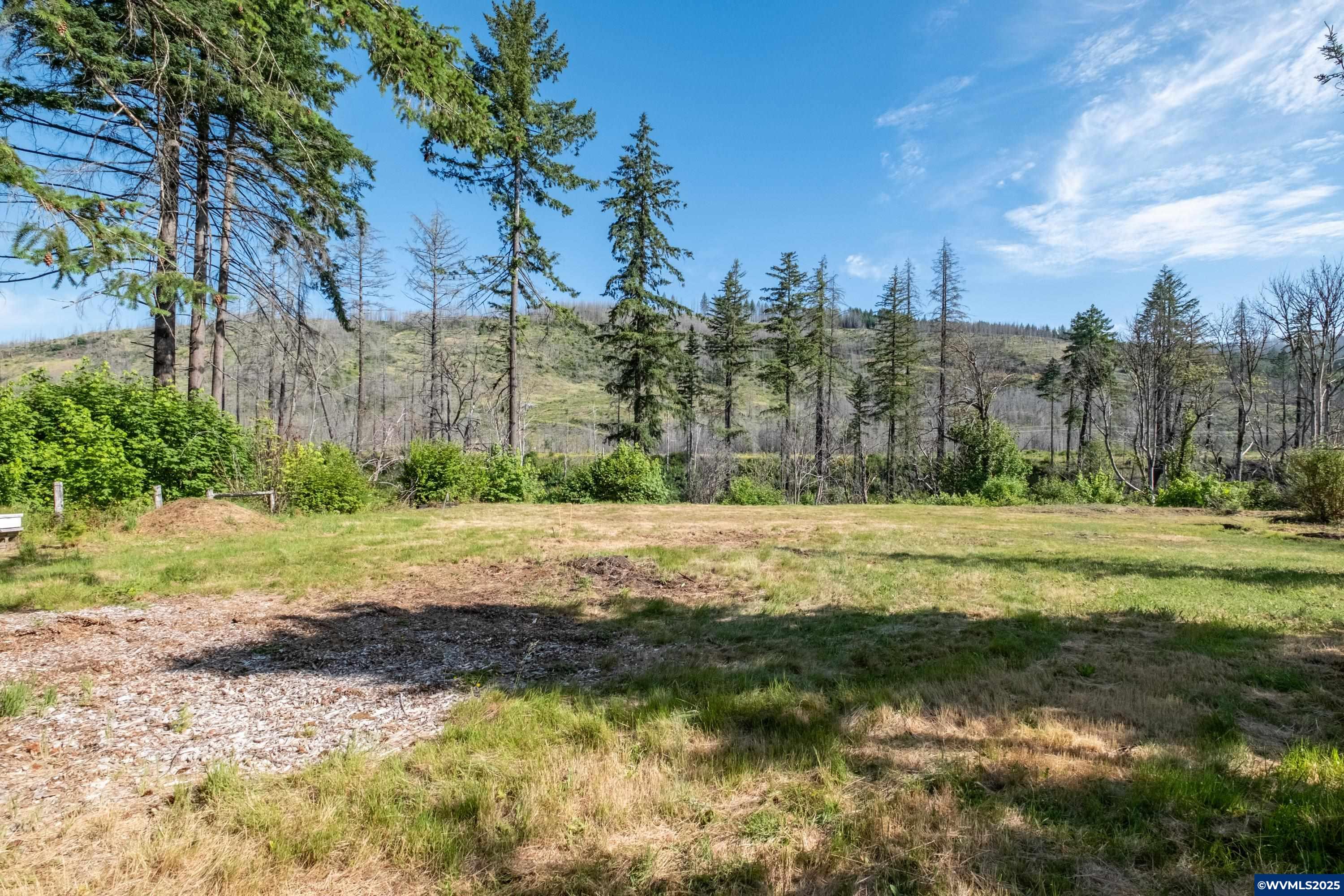 26147 Taylor Park Road Southeast Lyons, OR 97358 - Photo 4 of 25