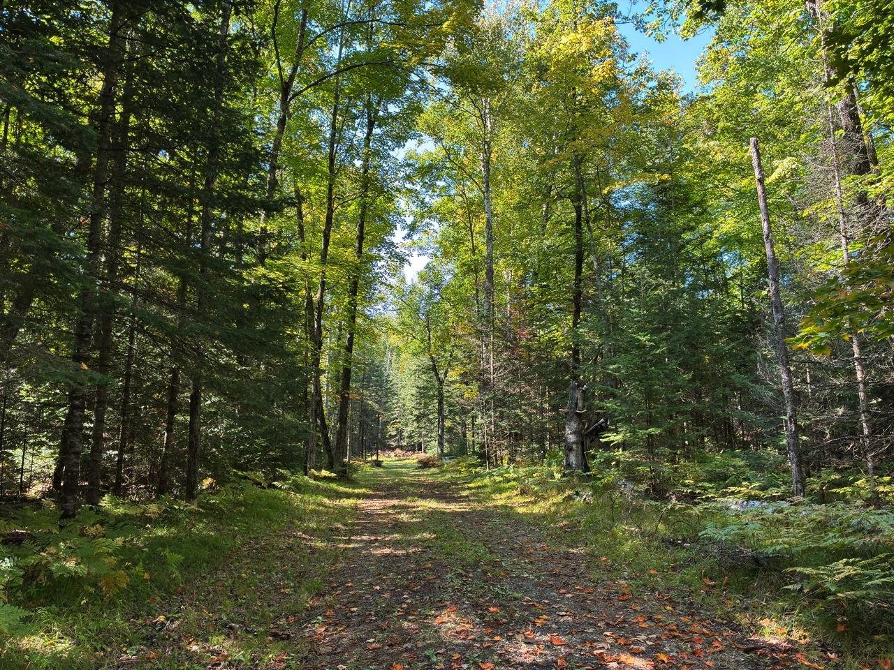 6064 Cramer Lake Road Mercer, WI 54547 - Photo 22 of 47 Gallery Image 22