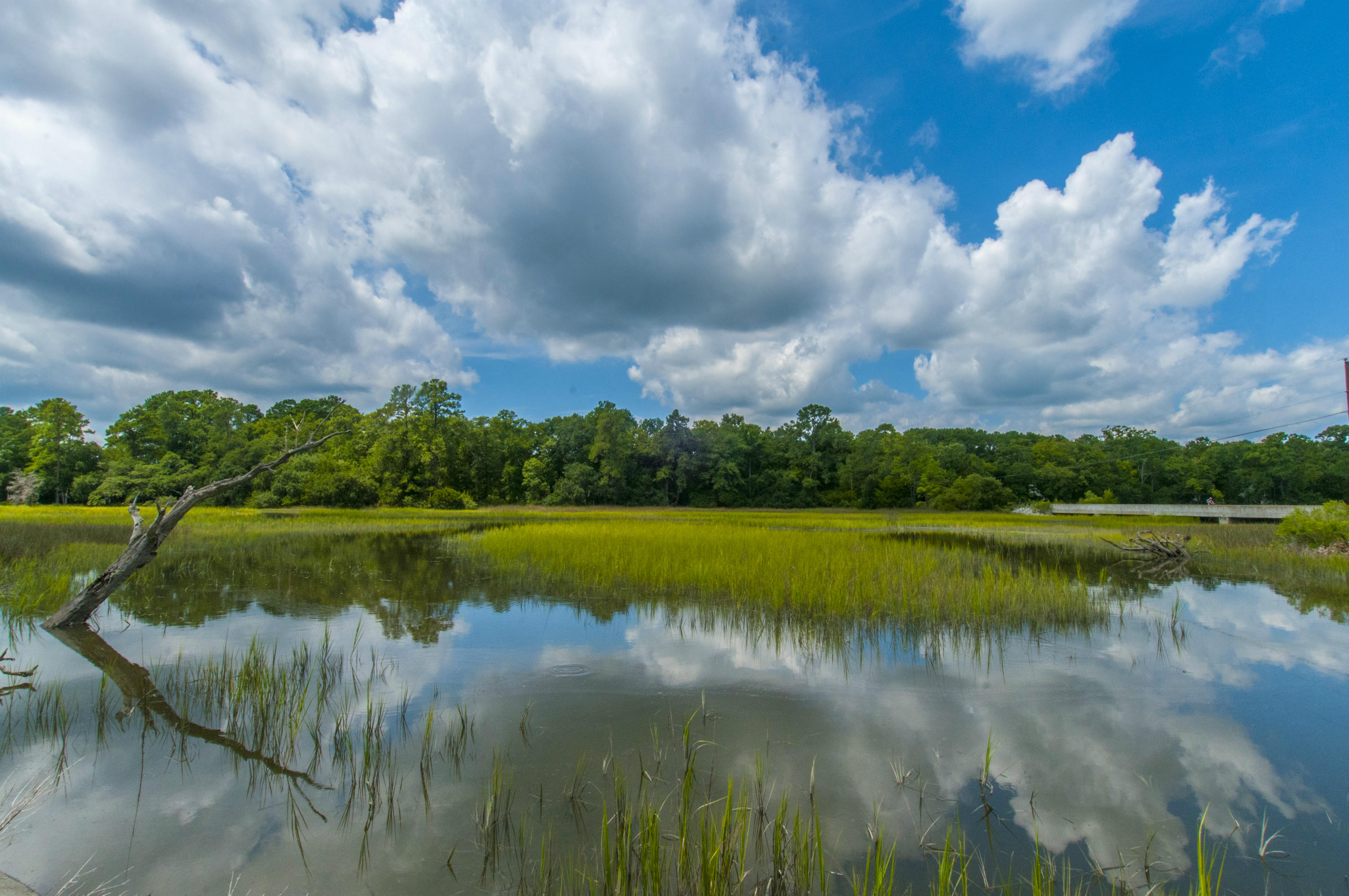 5710 Chisolm Road Johns Island, SC 29455 - Photo 15 of 46 Creek