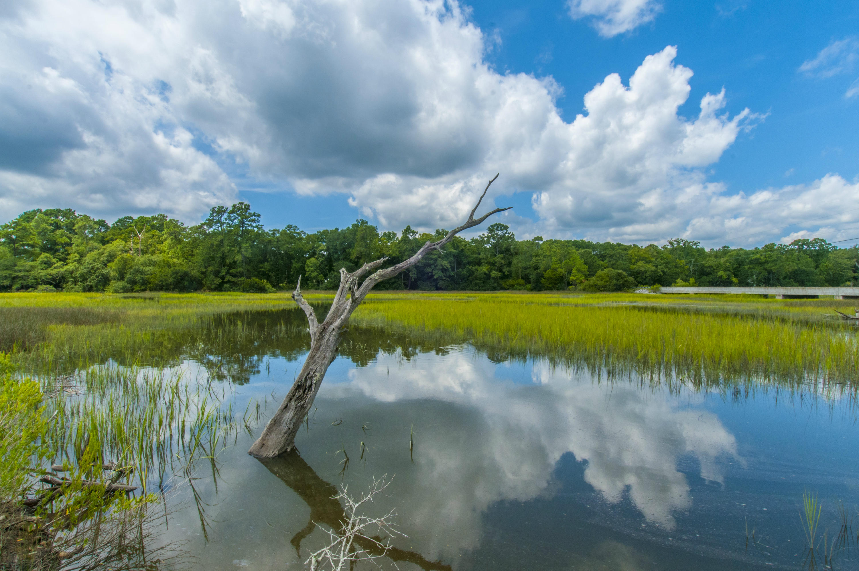 5710 Chisolm Road Johns Island, SC 29455 - Photo 16 of 46 Creek