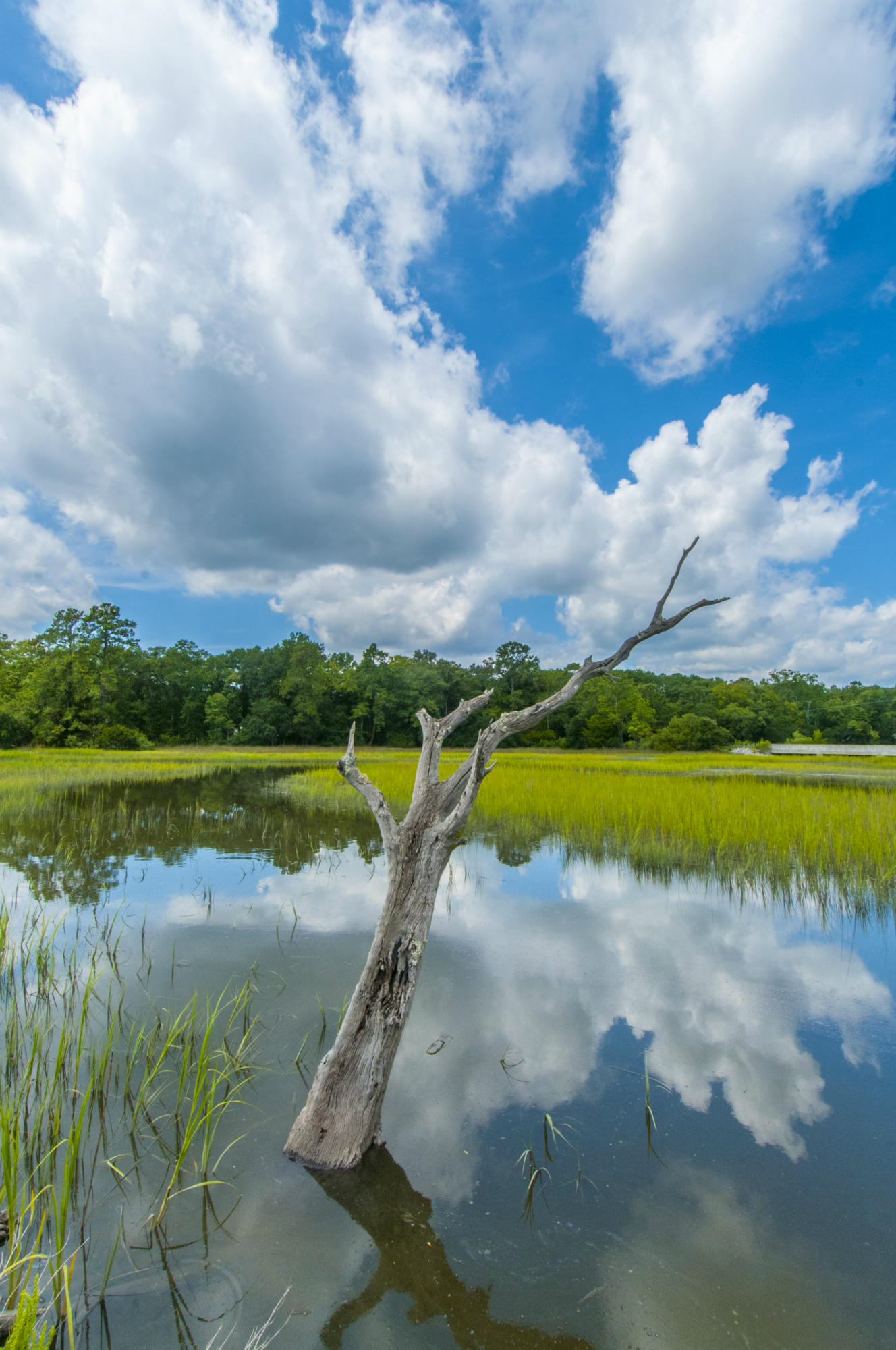 5710 Chisolm Road Johns Island, SC 29455 - Photo 17 of 46 Creek