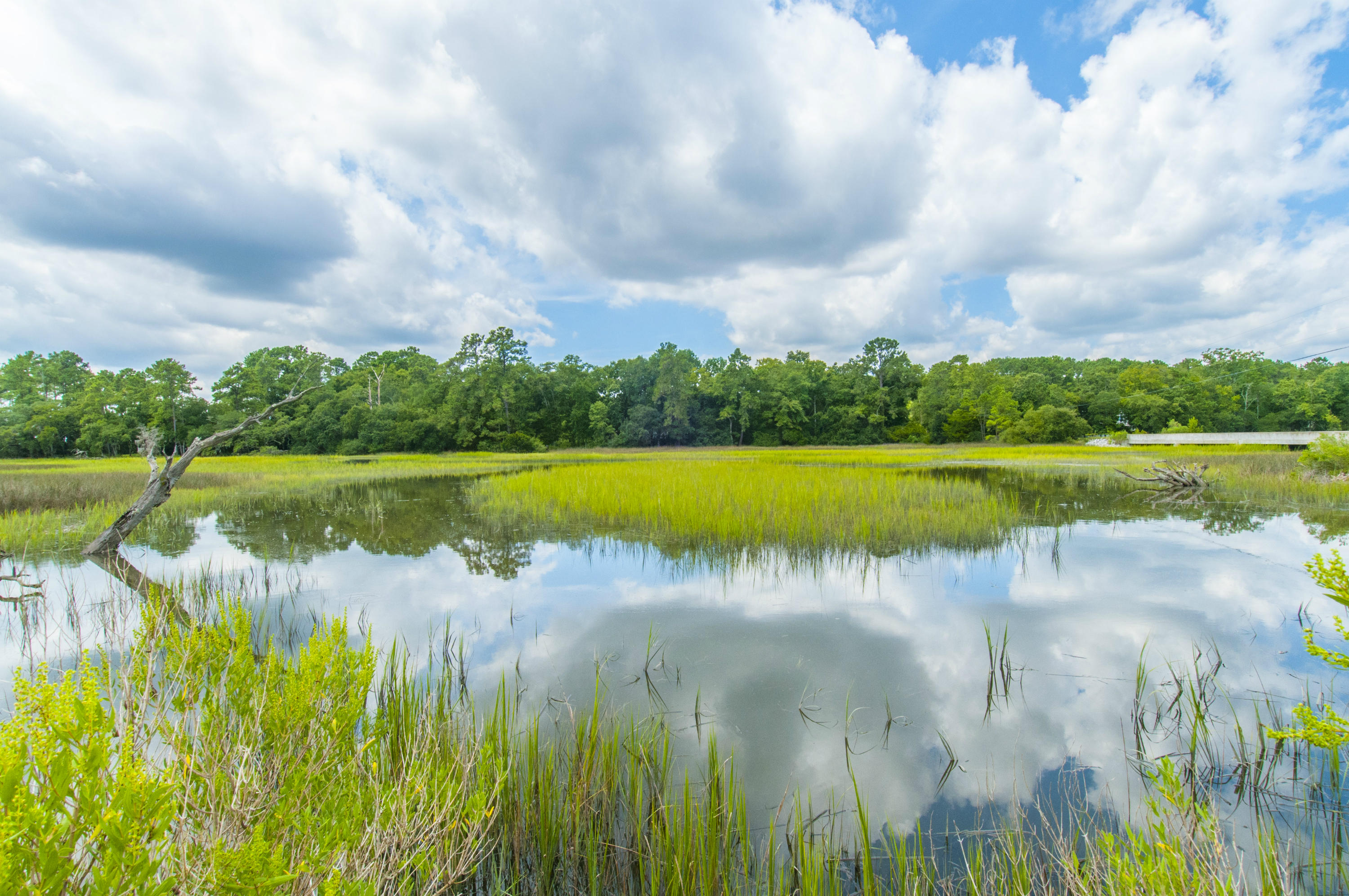 5710 Chisolm Road Johns Island, SC 29455 - Photo 19 of 46 Creek