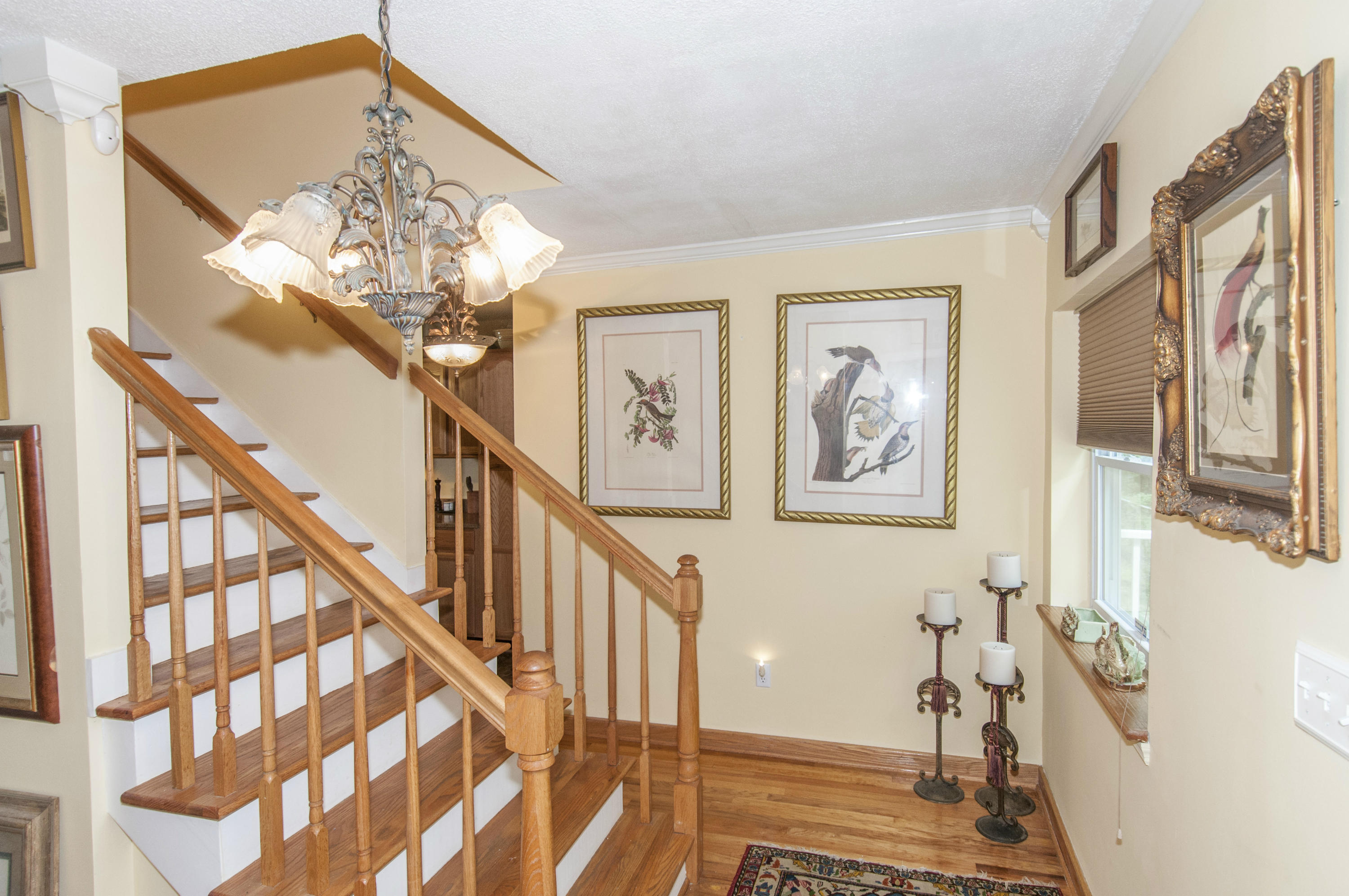 5710 Chisolm Road Johns Island, SC 29455 - Photo 23 of 46 Foyer