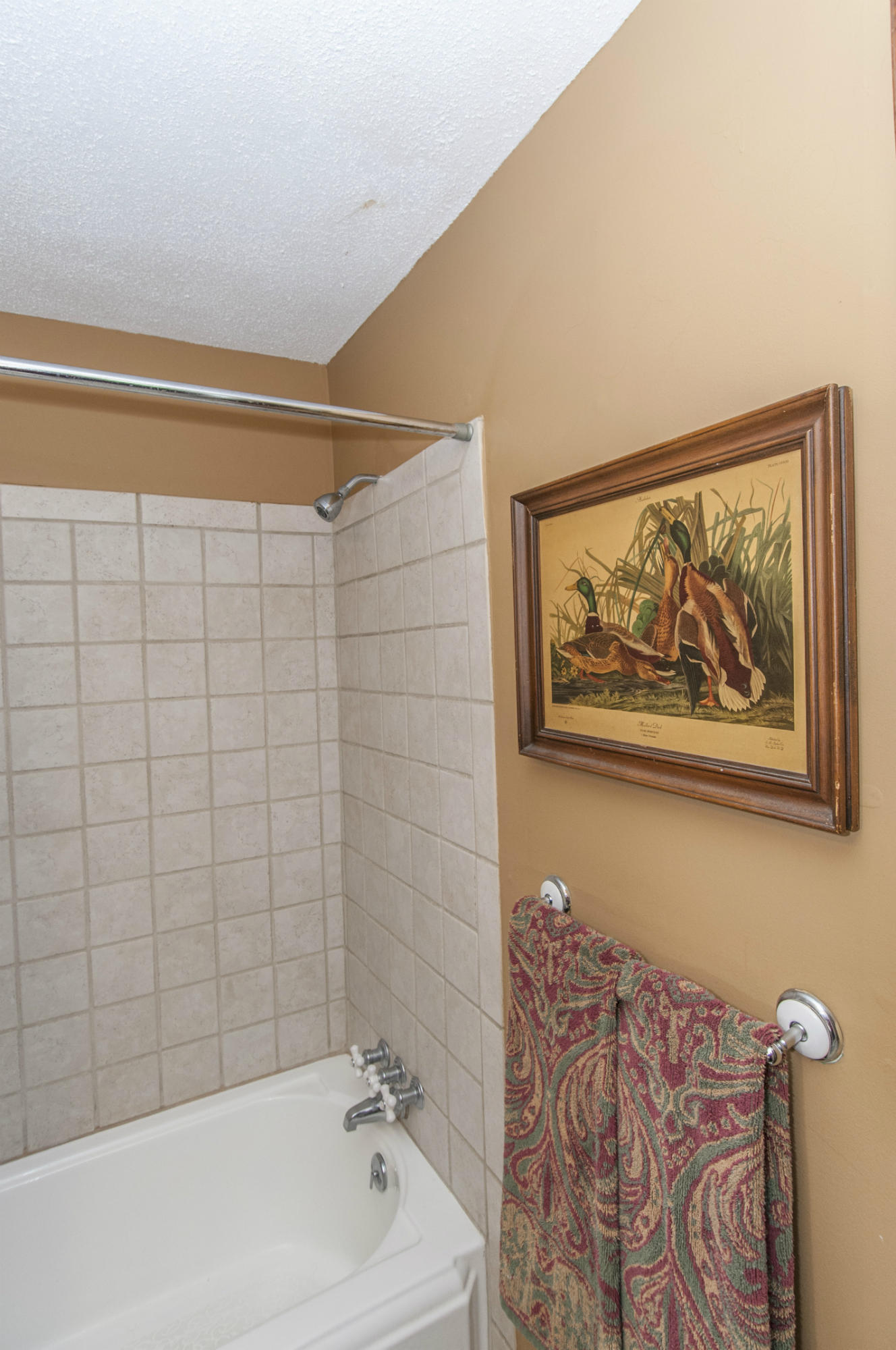 5710 Chisolm Road Johns Island, SC 29455 - Photo 36 of 46 Bathroom Downstairs