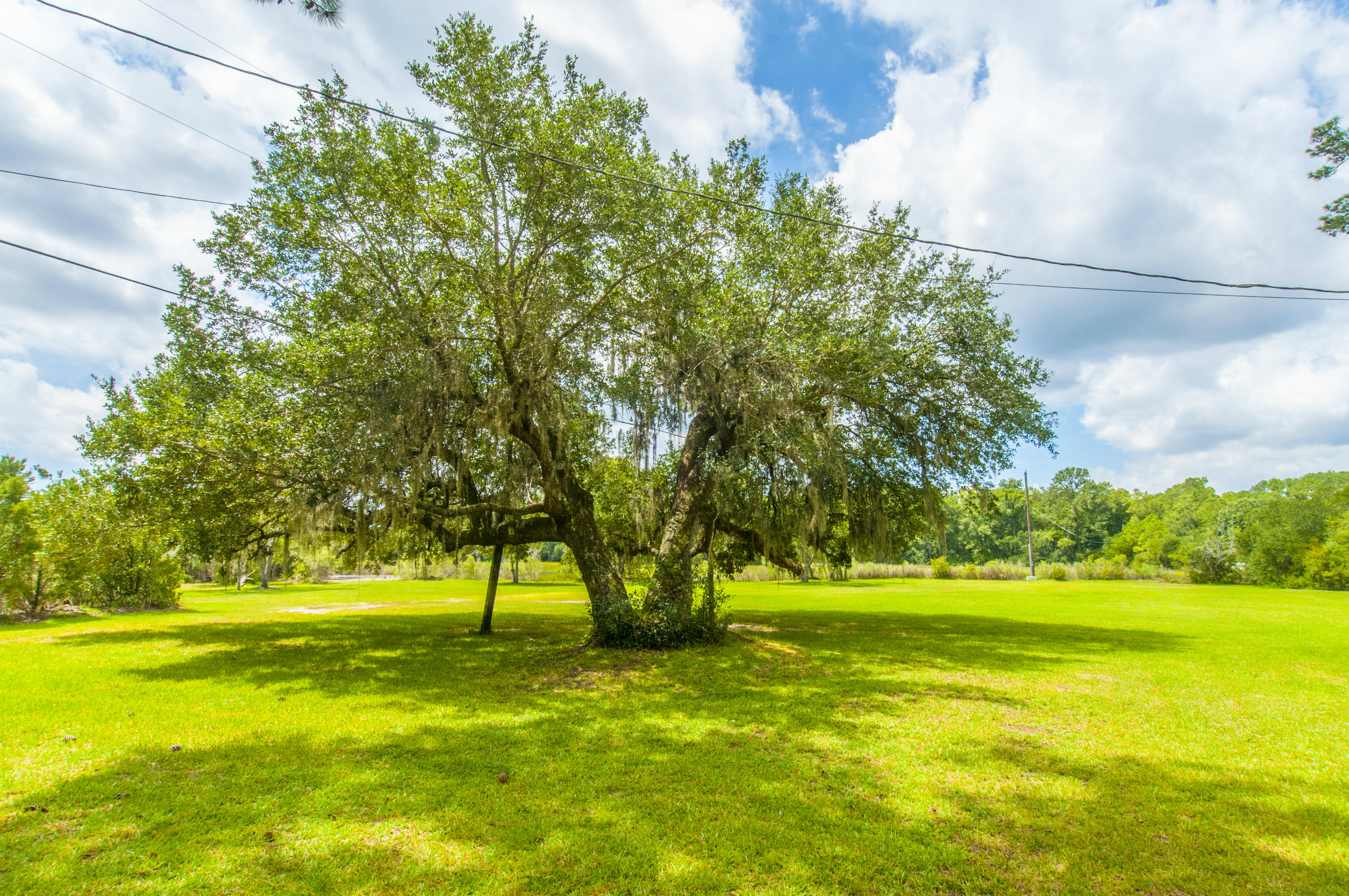 5710 Chisolm Road Johns Island, SC 29455 - Photo 10 of 46 Rear Yard