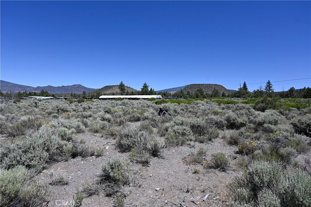 0 Timber Road Montague, CA 96064 - Photo 9 of 14