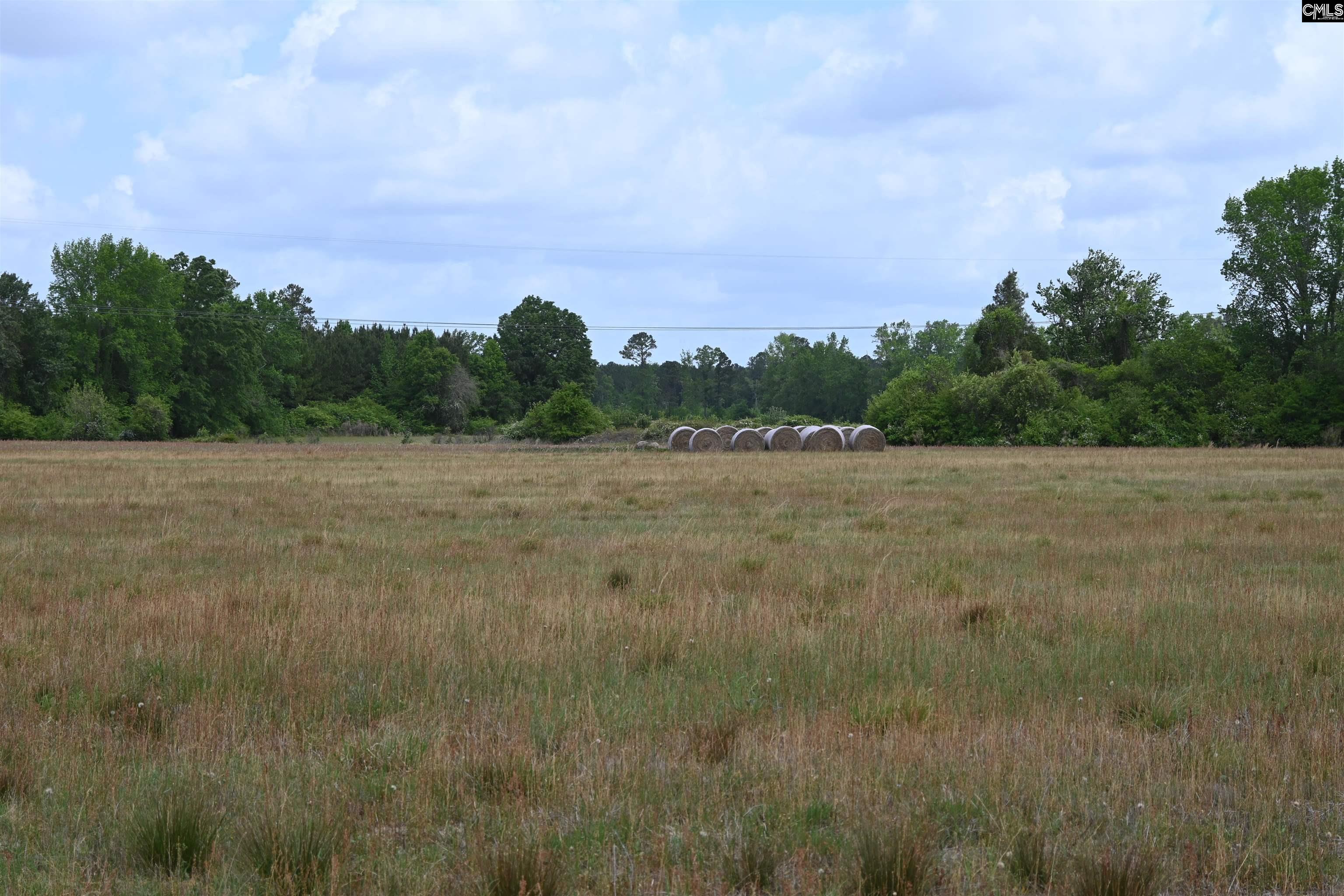 Tbd Gallowaytown Road Hartsville, SC 29550 - Photo 33 of 34