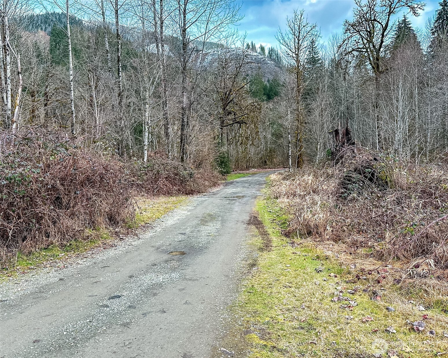 132 Findley Road Morton, WA 98356 - Photo 28 of 28 a pathway of a yard