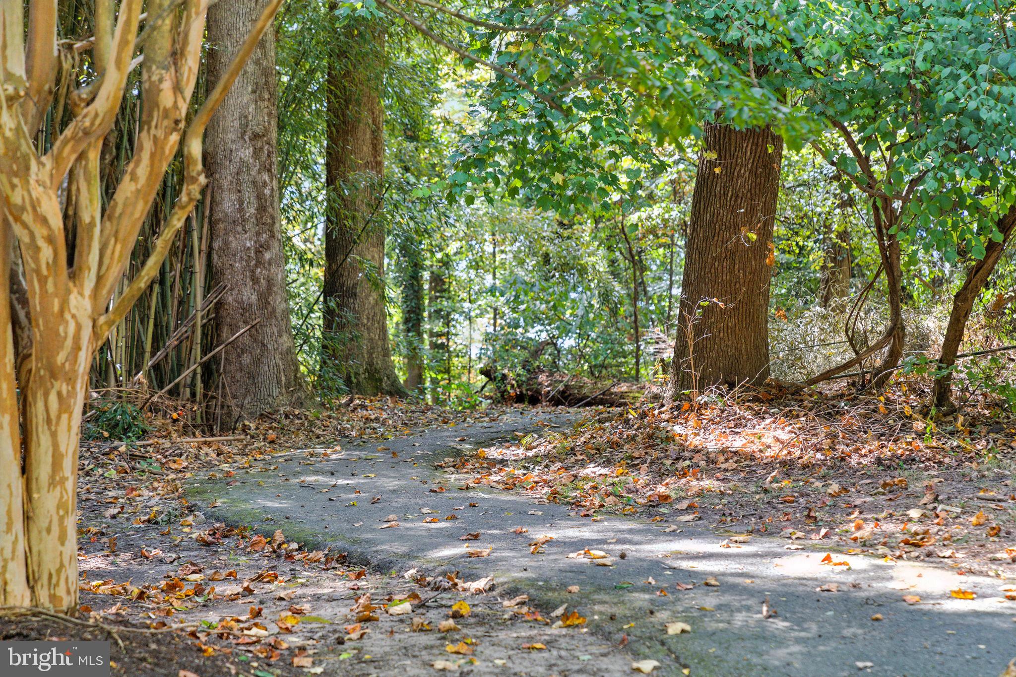 3546 Ellerton Road Bowie, MD 20716 - Photo 86 of 87 Serene path through lush greenery.