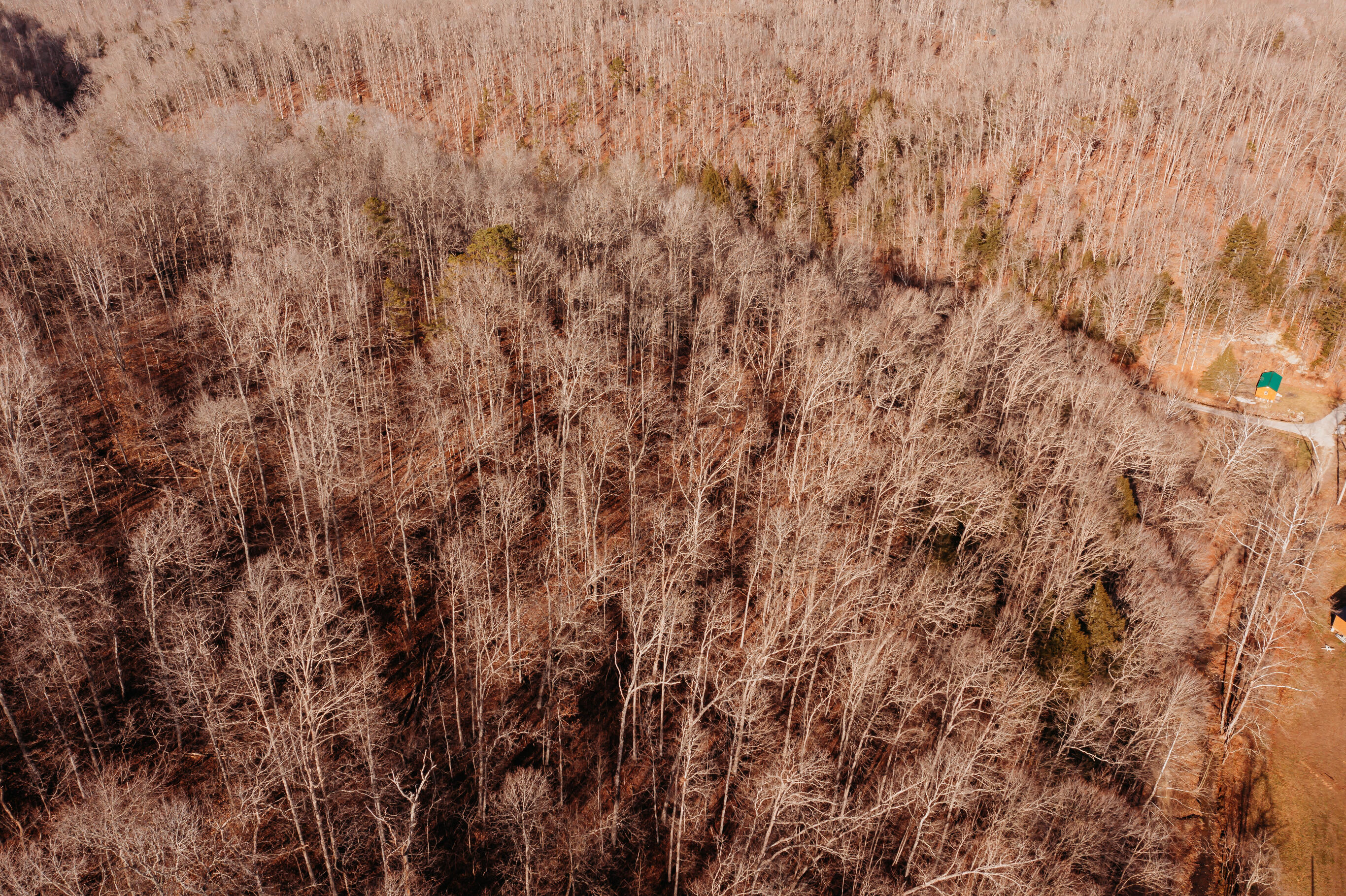 9999-tbd Ratliff Road Frenchburg, KY 40322 - Photo 18 of 19 DJI_0481