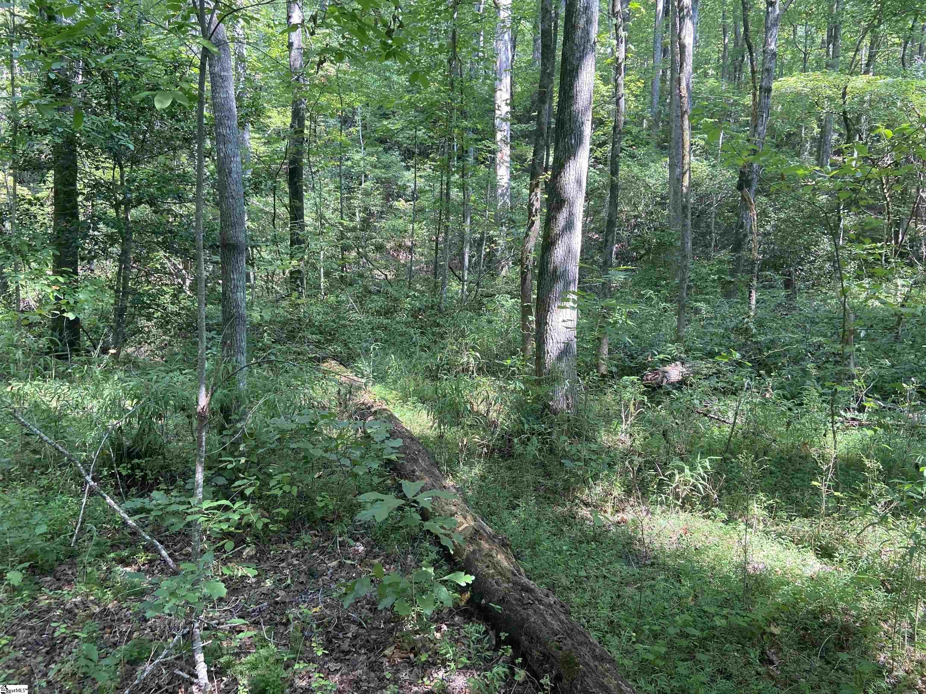 1745 South Saluda Road Cleveland, SC 29635 - Photo 1 of 13