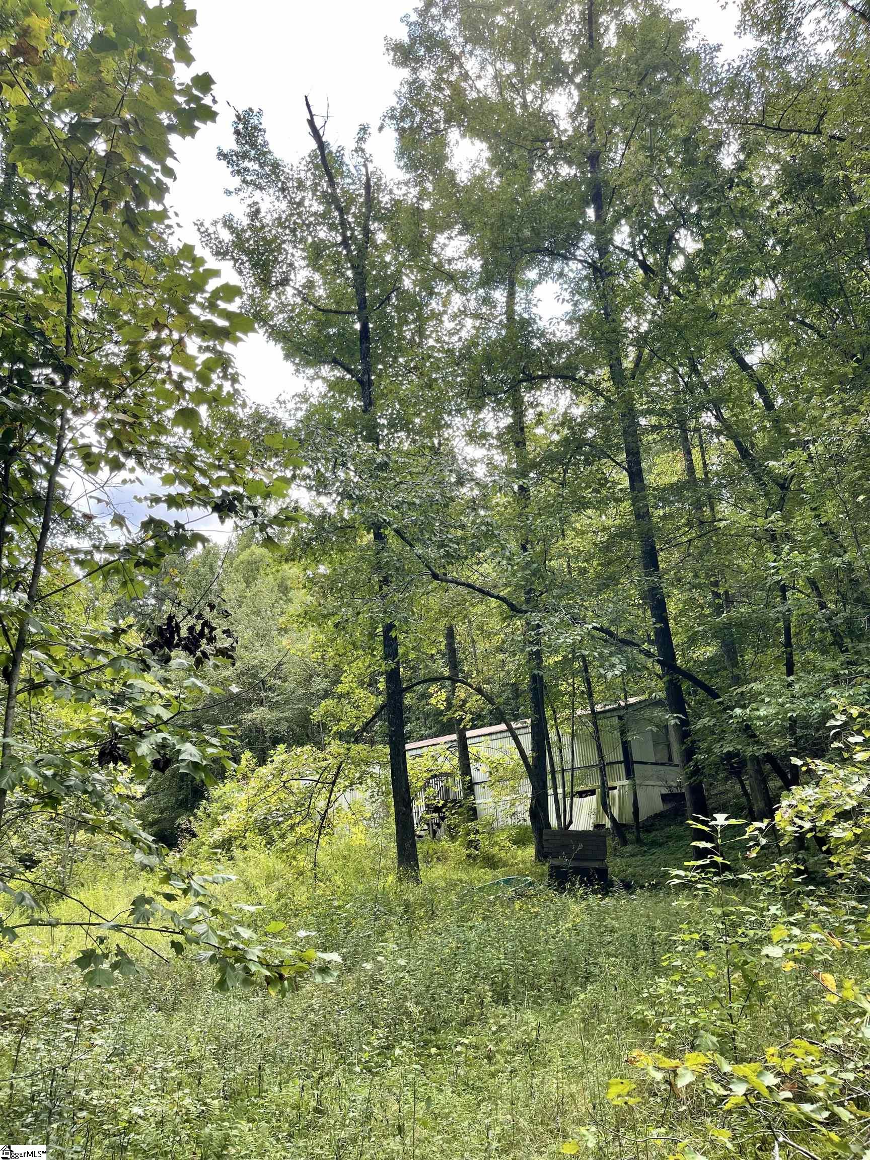 1745 South Saluda Road Cleveland, SC 29635 - Photo 12 of 13