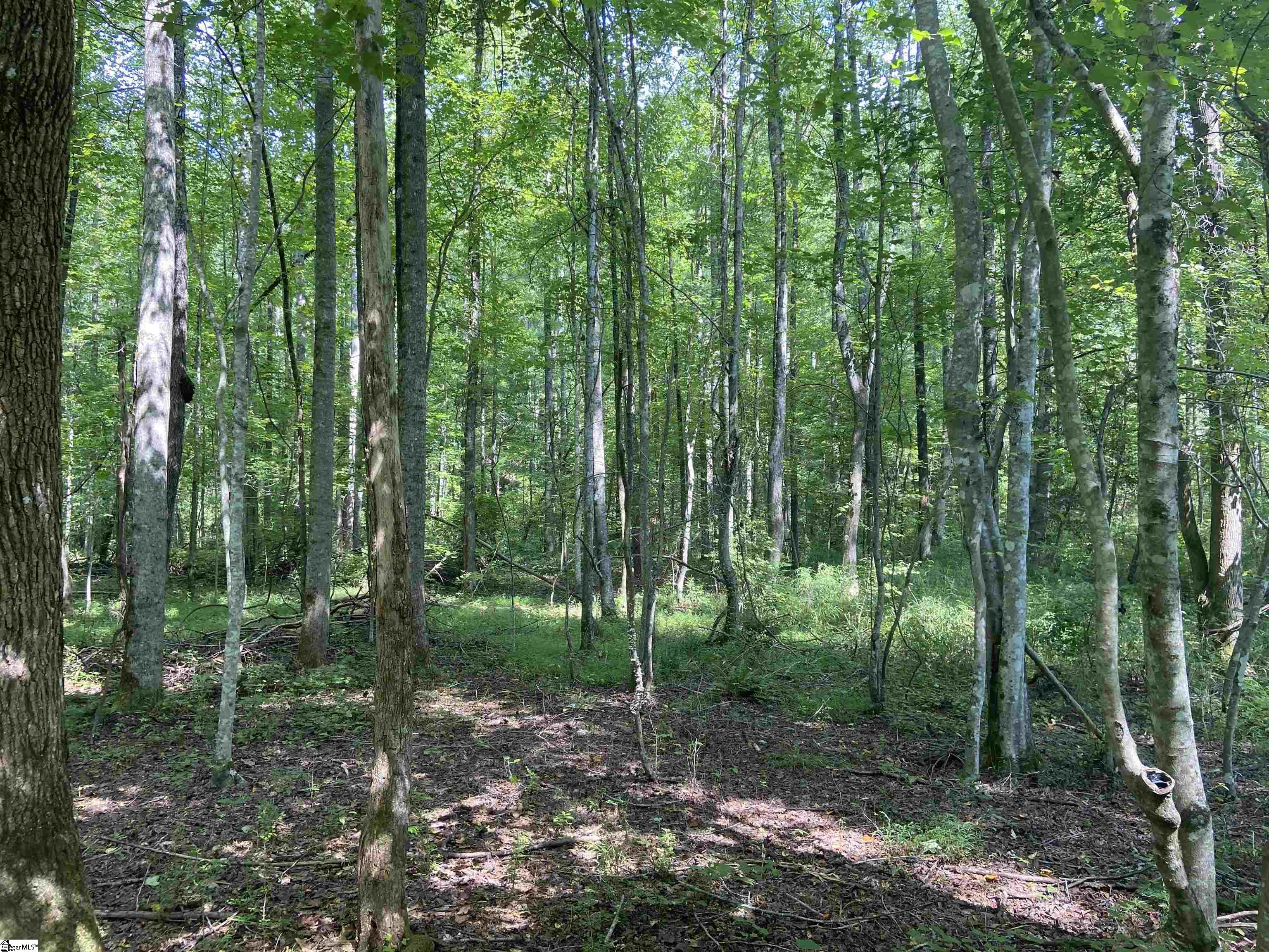 1745 South Saluda Road Cleveland, SC 29635 - Photo 4 of 13
