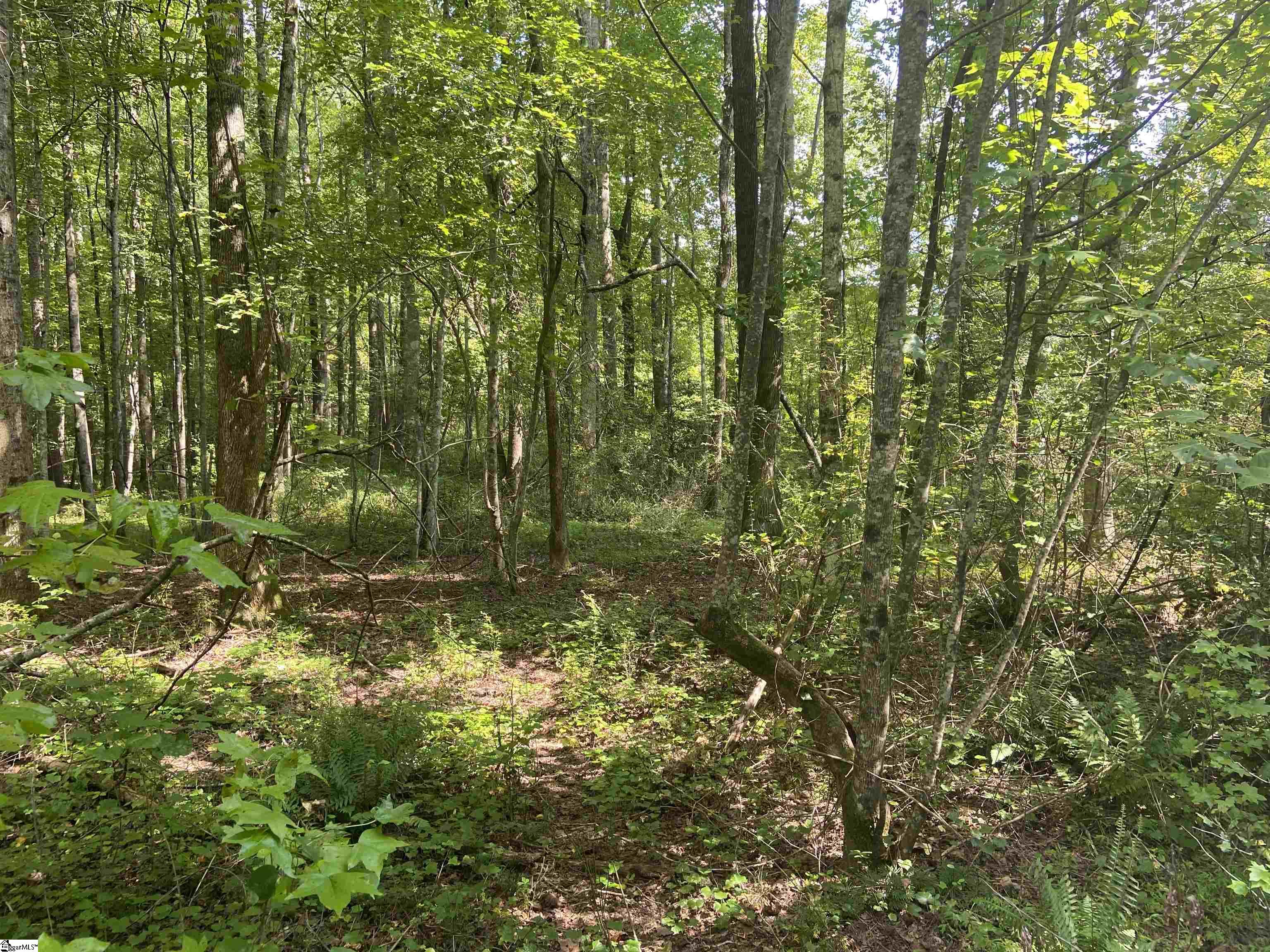 1745 South Saluda Road Cleveland, SC 29635 - Photo 7 of 13