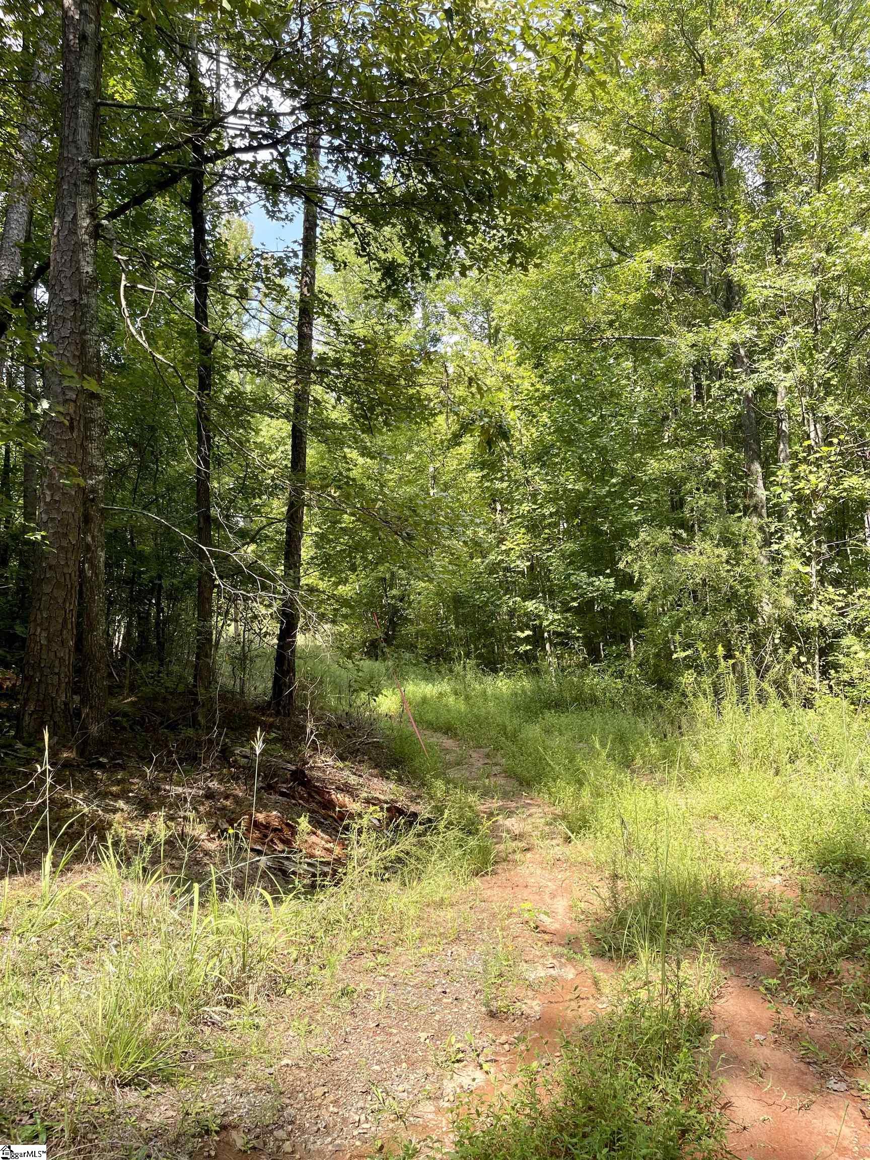 1745 South Saluda Road Cleveland, SC 29635 - Photo 8 of 13