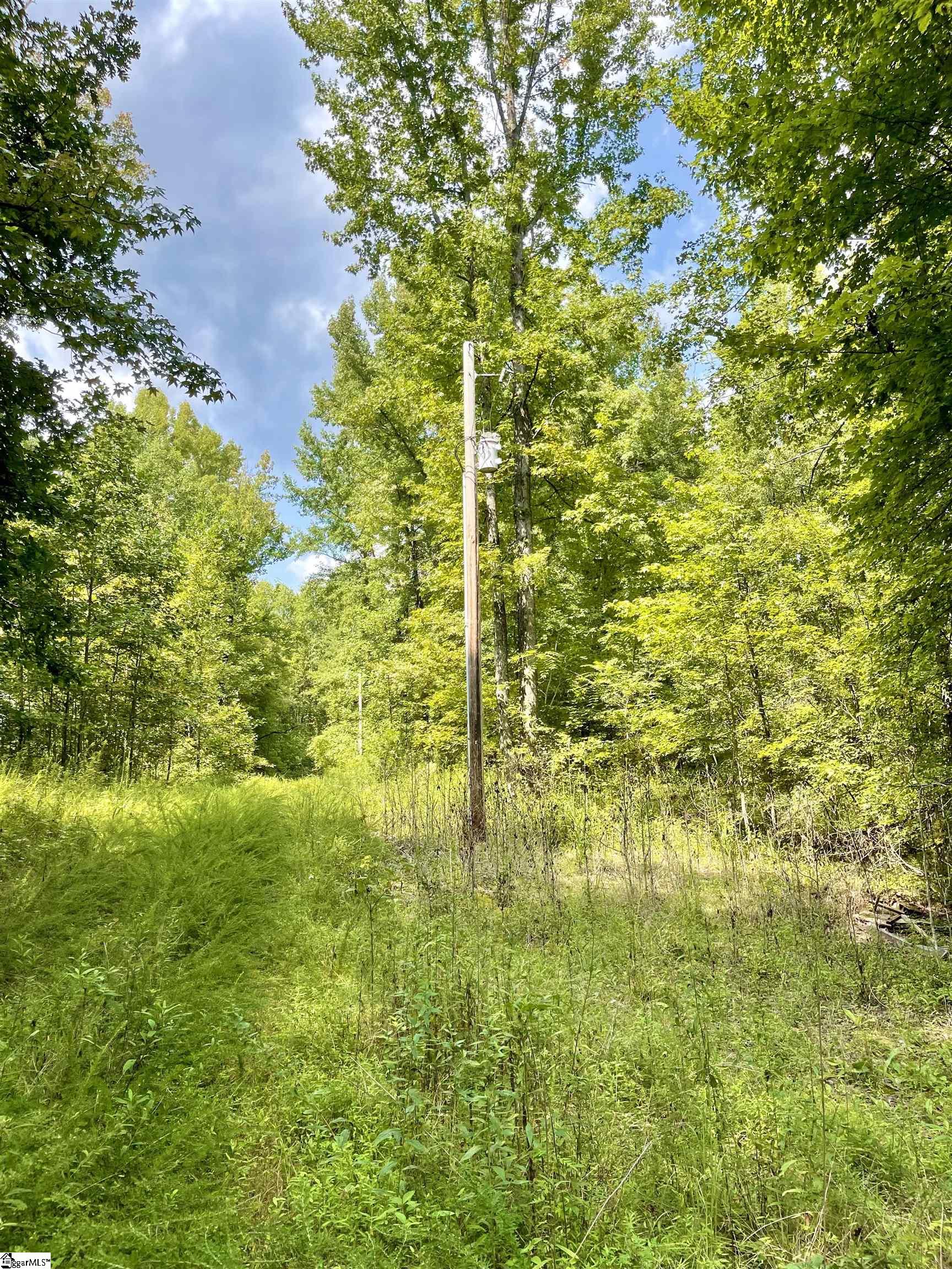 1745 South Saluda Road Cleveland, SC 29635 - Photo 10 of 13
