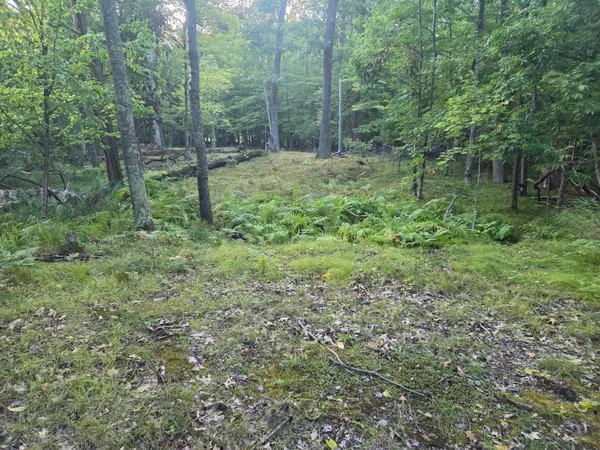 $29,000 | Tbd 484th Street, McGregor, MN 55760