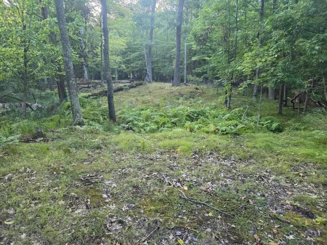 $29,000 | Tbd 484th Street, McGregor, MN 55760