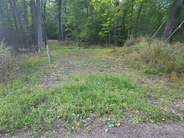 $29,000 | Tbd 484th Street, McGregor, MN 55760