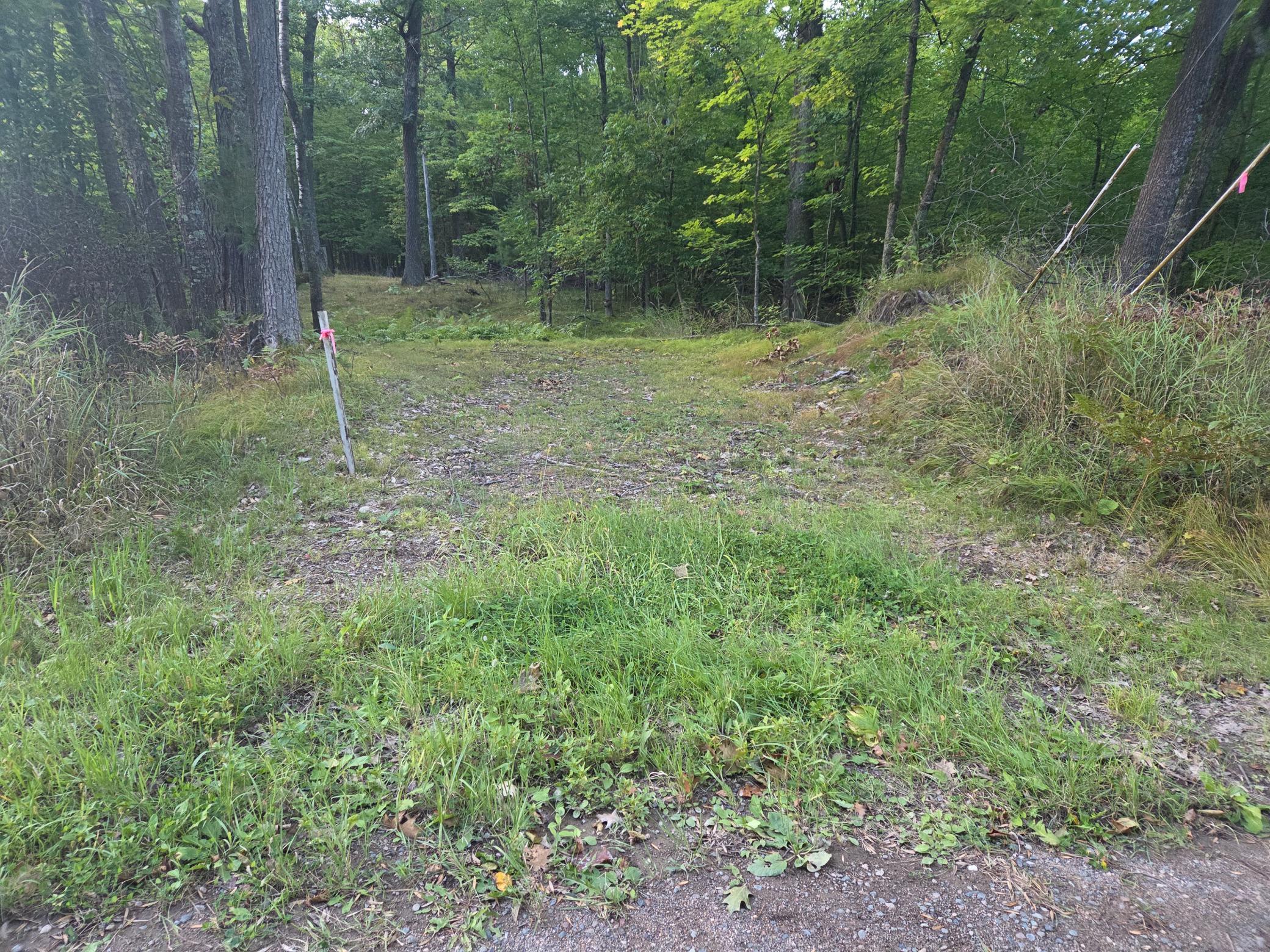 Tbd 484th Street McGregor, MN 55760 - Photo 2 of 7